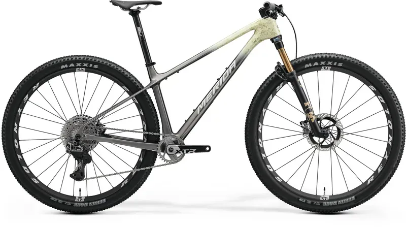 Merida Big Nine 10K Mountain Bike in Green Nebula/Grey Gold And Silver