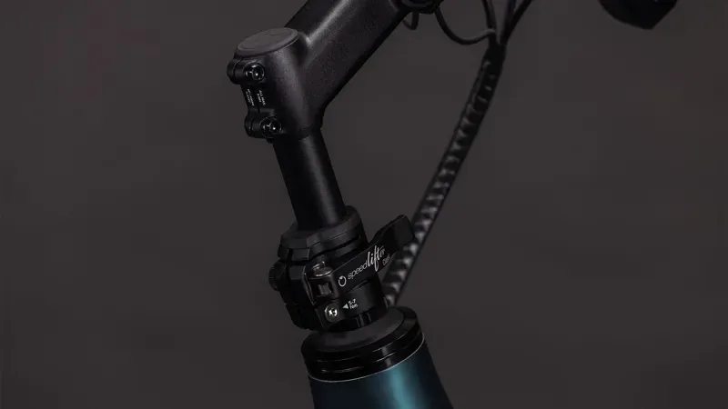 Cube Longtail Hybrid 800 eCargo Bike in Royal Green/Black-4