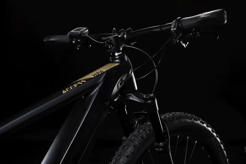 Cube Access Hybrid SL 500 Kiox Pedal Assist 2019 Grey/Gold-1