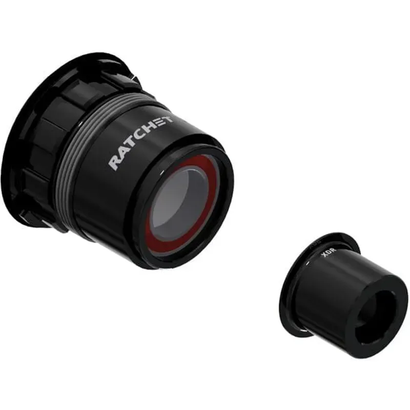 DT Swiss Ratchet LN Freehub Conversion Kit in Black-4