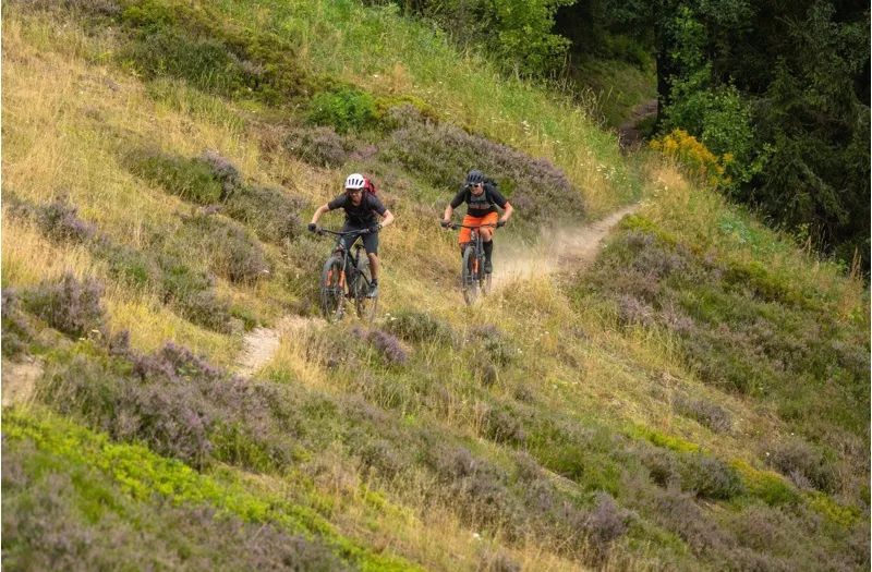 Cube Stereo Hybrid 140 HPC Race 750 eMountain Bike in Grey-3