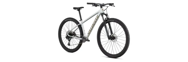 Specialized Rockhopper Expert Silver/Burnt Gold-1
