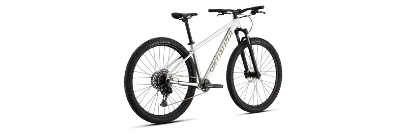Specialized Rockhopper Expert Silver/Burnt Gold-2