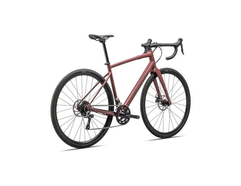 Specialized Diverge E5 Gravel Bike In Gloss Spice/Gunmetal-1