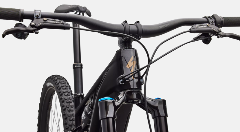 Specialized Turbo Levo R Expert EMTB in Gloss Carbon-4