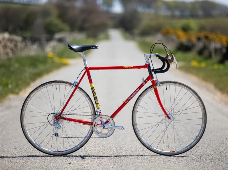 Shop raleigh frame Free Shipping