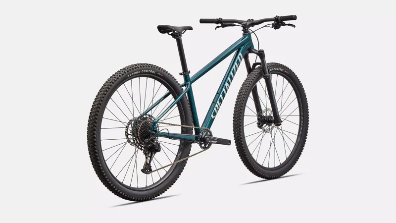 2026 Rockhopper Expert Mountain Bike Emerald / Shadow Silver-2