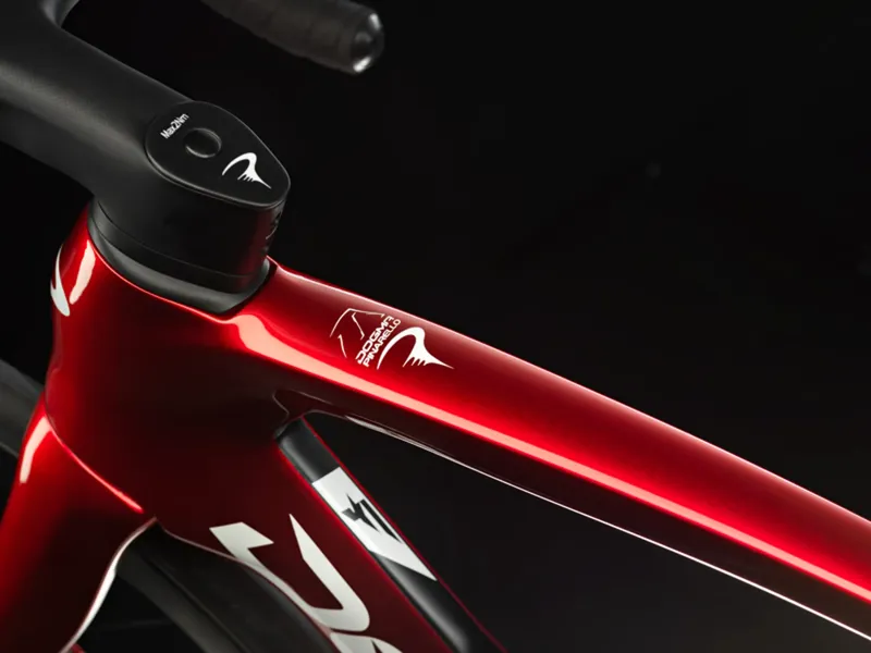 2025 Pinarello Dogma F Frame Kit Limited Edition Starry Red -6