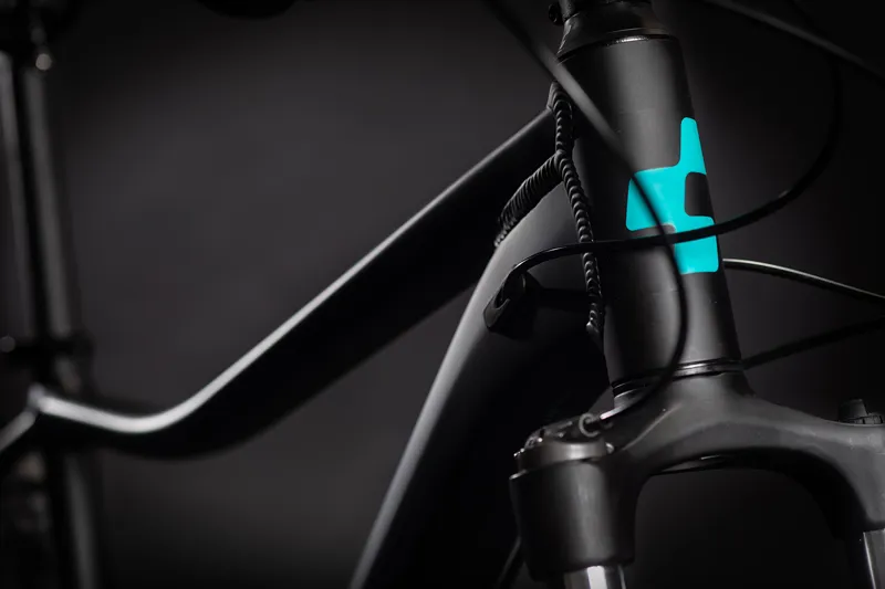 2021 Cube Access EXC Womens Mountain Bike in Black and Turquoise-1