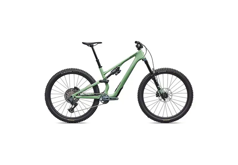 Stumpjumper 15 EVO Expert AXS PISTACHIO/ DARK MOSS GREEN s4 29/29