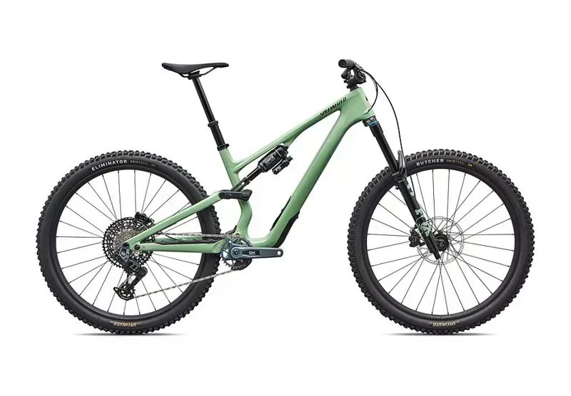 Stumpjumper 15 EVO Expert AXS PISTACHIO/ DARK MOSS GREEN s4 29/29-1