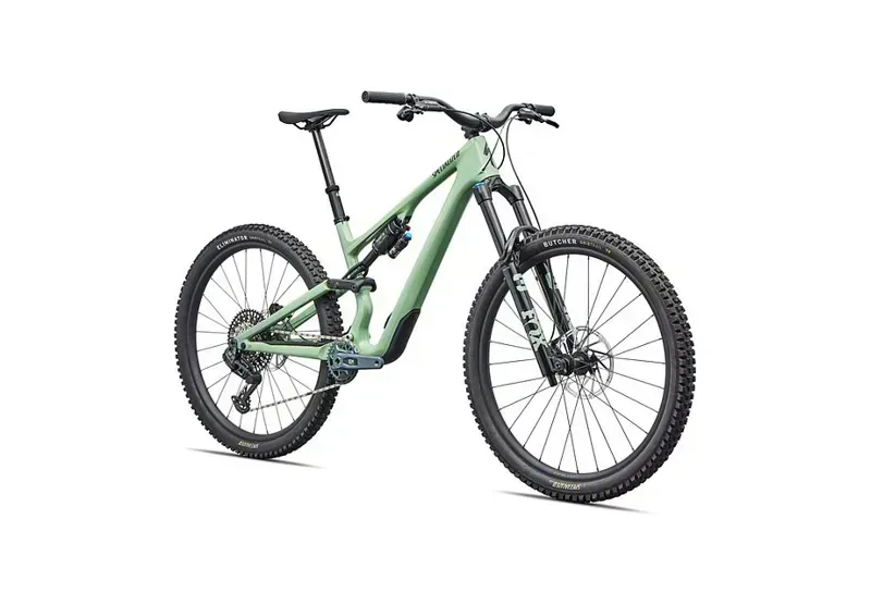 Stumpjumper 15 EVO Expert AXS PISTACHIO/ DARK MOSS GREEN s4 29/29-2