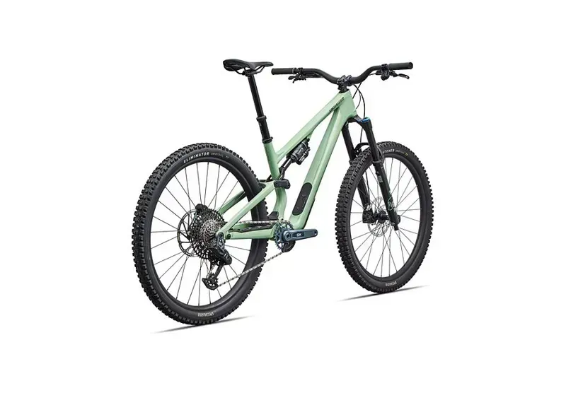 Stumpjumper 15 EVO Expert AXS PISTACHIO/ DARK MOSS GREEN s4 29/29-3