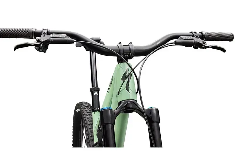 Stumpjumper 15 EVO Expert AXS PISTACHIO/ DARK MOSS GREEN s4 29/29-5
